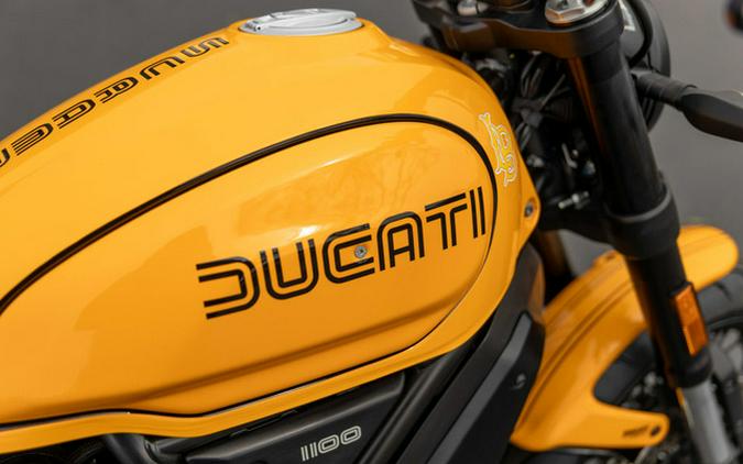 2023 Ducati Scrambler 1100 Tribute PRO Giallo Ocra