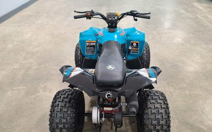2026 Can-Am Renegade 110 EFI