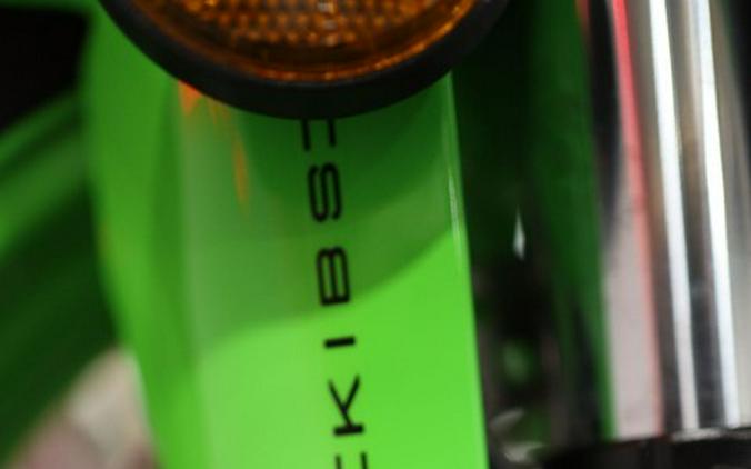 2024 Kawasaki Ninja ZX-6R 40th Anniversary Edition ABS