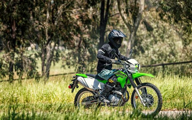 2021 Kawasaki KLX 230 ABS