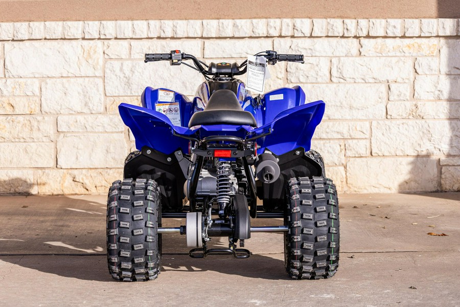 2026 YAMAHA RAPTOR 110