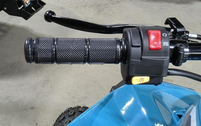 2026 Can-Am Renegade 110 EFI