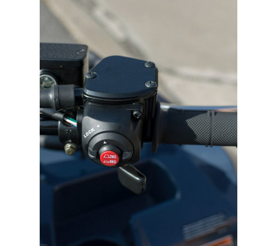 2025 Kawasaki Brute Force 450 4x4