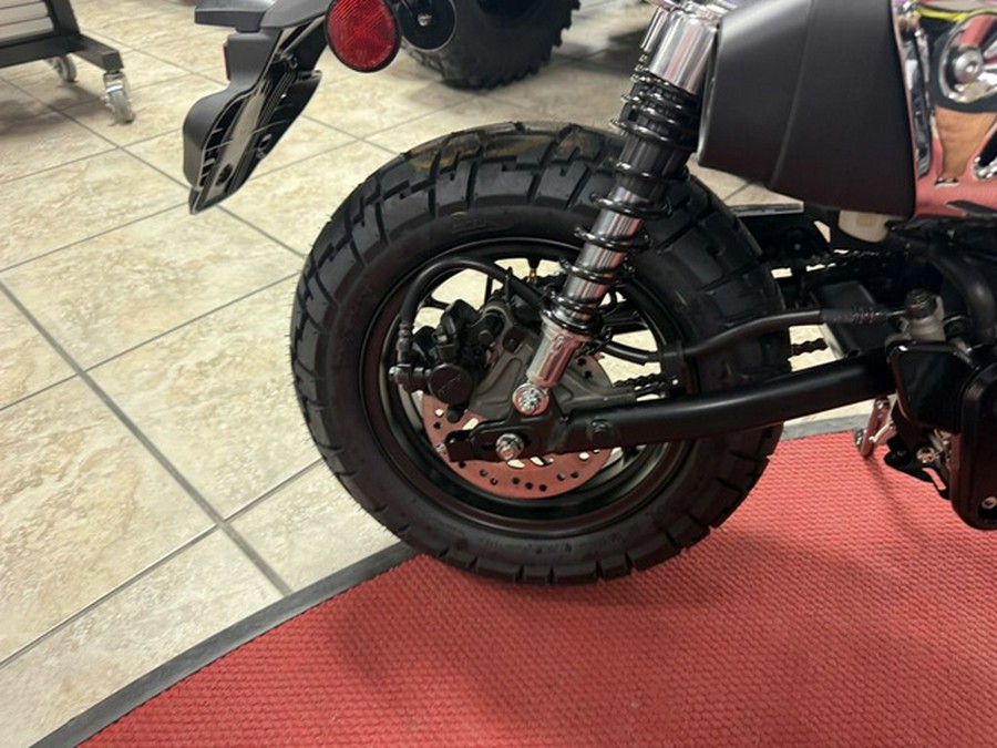 2026 Honda Monkey