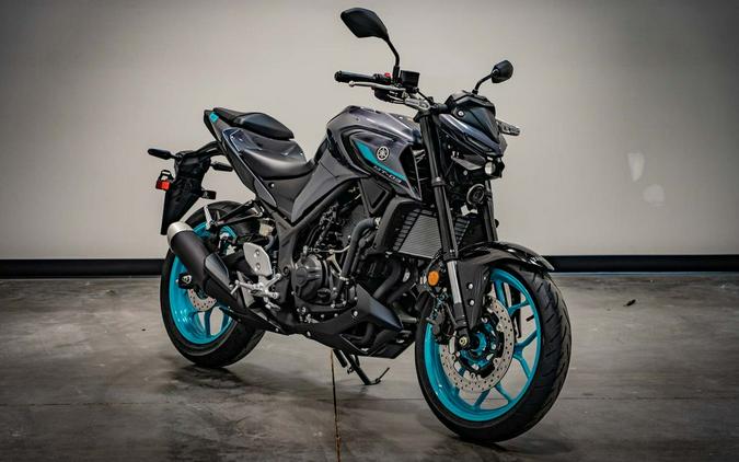 2024 Yamaha MT-03