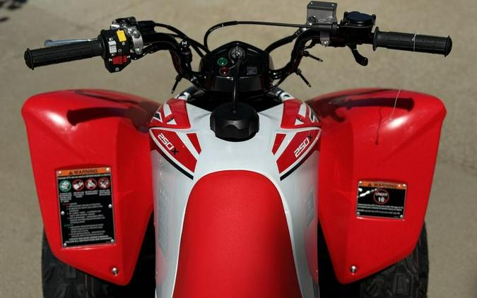 2024 Honda® TRX250X