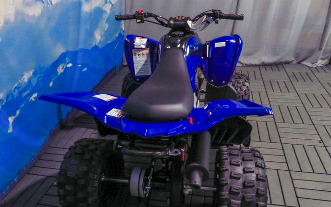 2025 Yamaha Raptor 110