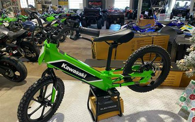 2023 Kawasaki Elektrode