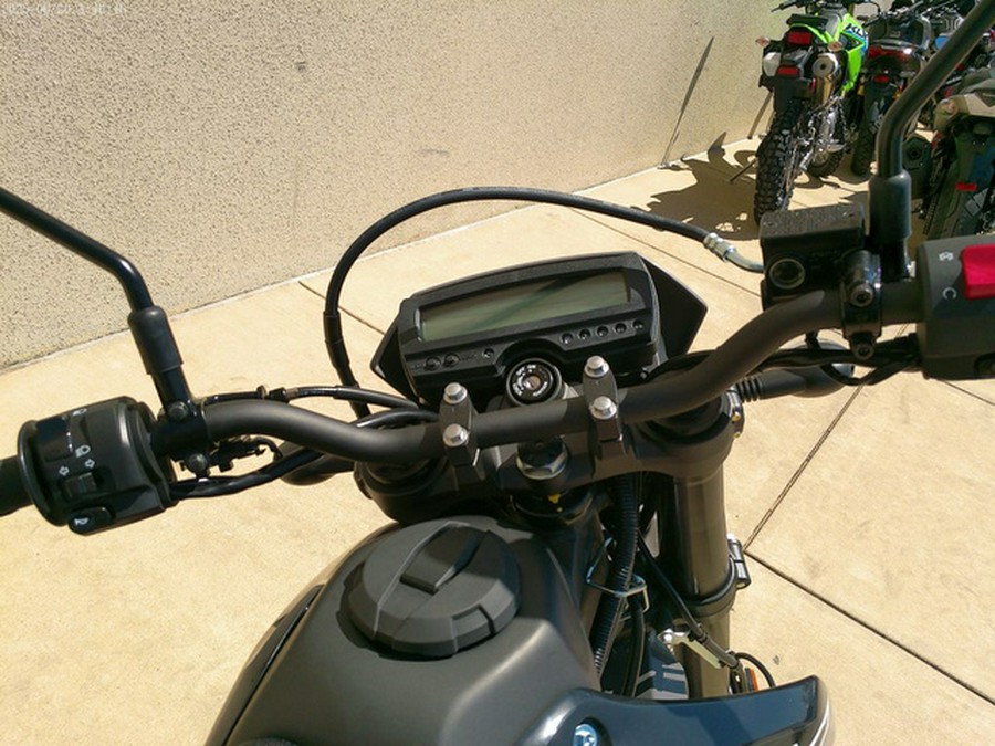 2026 Kawasaki KLX300GTFNN