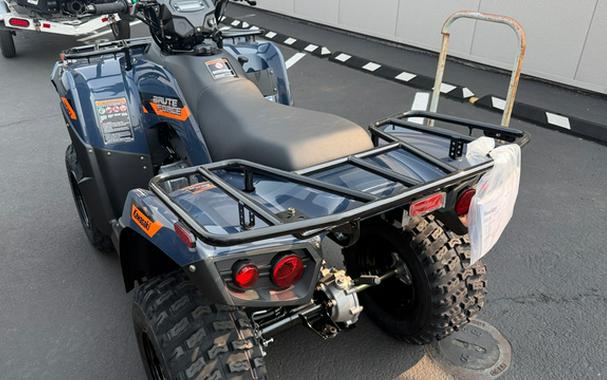 2026 Kawasaki Brute Force 300
