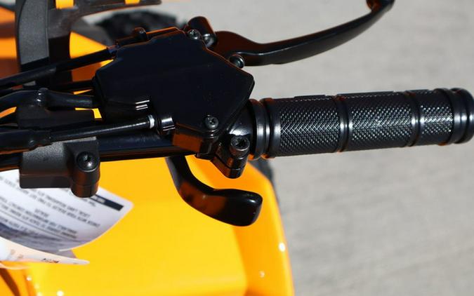 2027 Can-Am Renegade X Xc 110 EFI