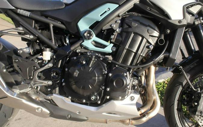 2025 Kawasaki Z900 ABS Galaxy Silver/Metallic Spark Black