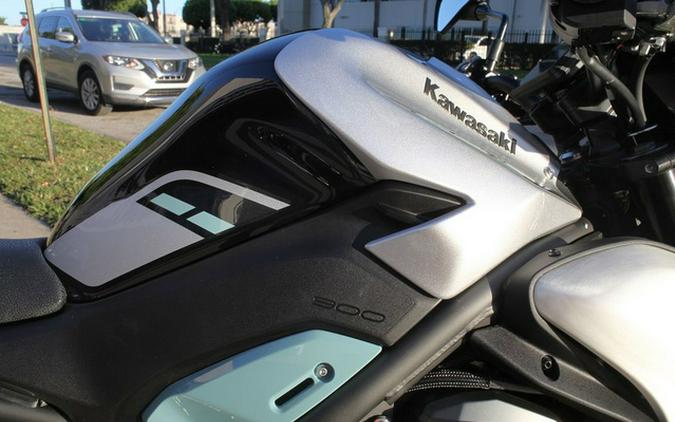 2025 Kawasaki Z900 ABS Galaxy Silver/Metallic Spark Black