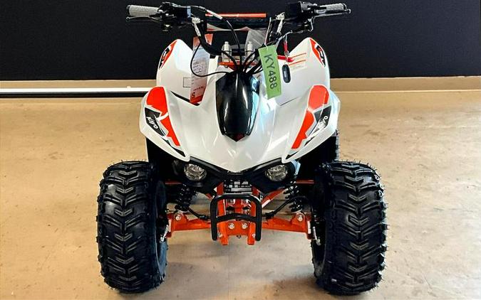 2025 Kayo Fox / Storm 70