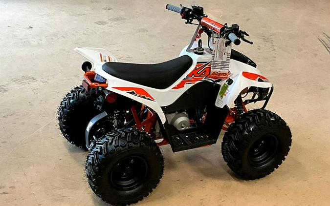 2025 Kayo Fox / Storm 70