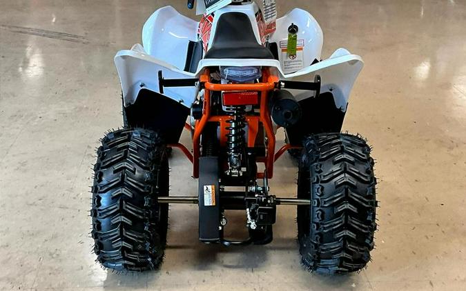 2025 Kayo Fox / Storm 70