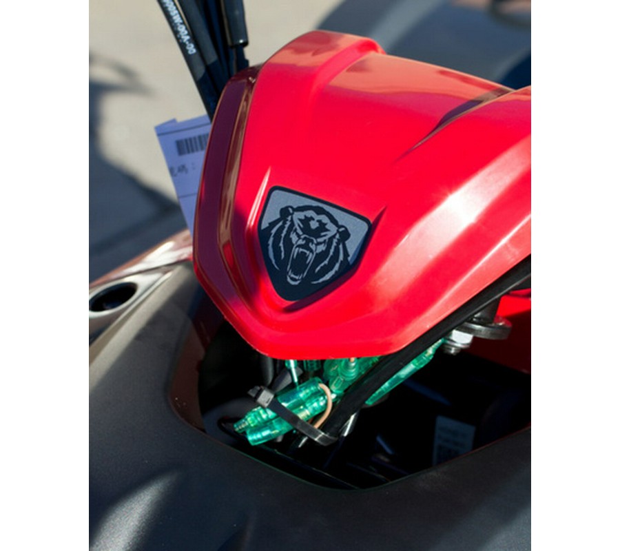 2025 Yamaha Grizzly 110