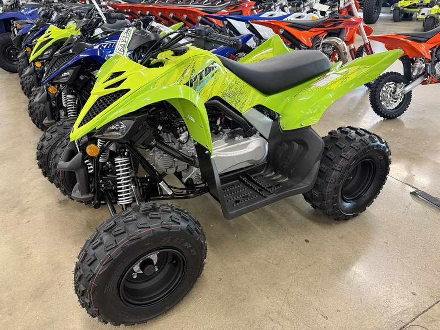 2026 Yamaha Raptor 110