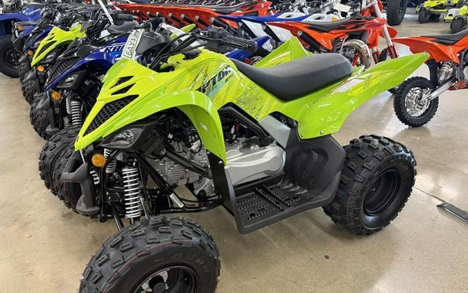 2026 Yamaha Raptor 110