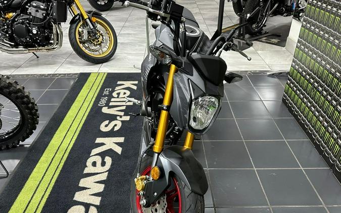 2024 Kawasaki Z125 PRO