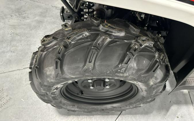 2025 Kawasaki Brute Force® 450 4x4