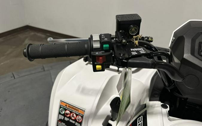 2025 Kawasaki Brute Force® 450 4x4