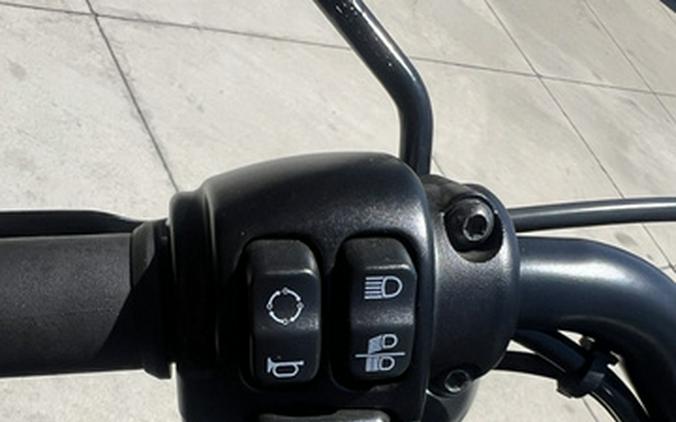 2022 Harley-Davidson Sportster Iron 883