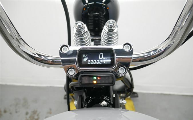 2024 Harley-Davidson Softail Springer