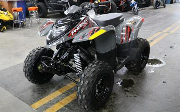 2024 Polaris Phoenix 200