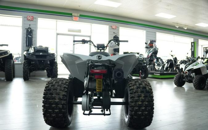 2026 Can-Am Renegade 110 EFI