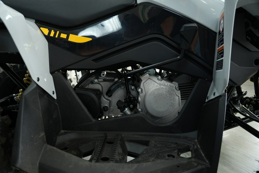 2026 Can-Am Renegade 110 EFI