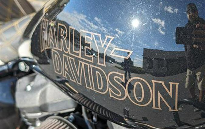 2022 Harley-Davidson Low Rider® S