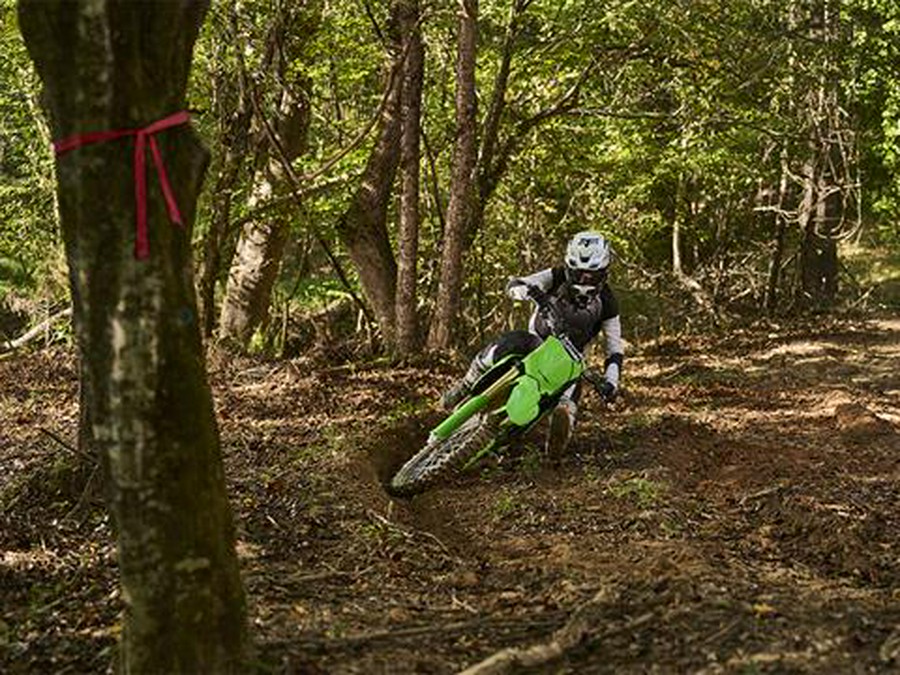 2026 Kawasaki KX 450X