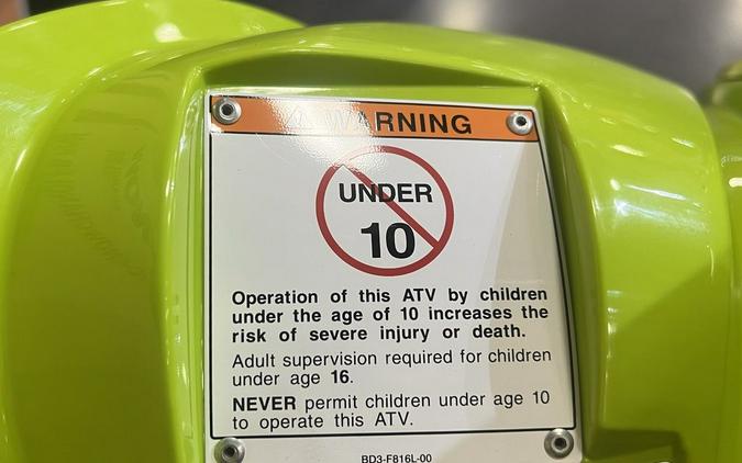 2026 Yamaha Raptor 110