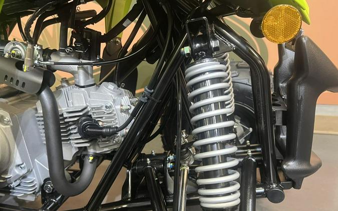 2026 Yamaha Raptor 110