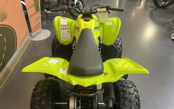 2026 Yamaha Raptor 110