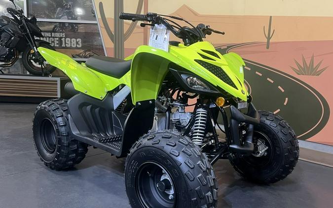 2026 Yamaha Raptor 110