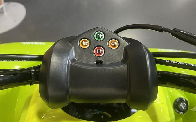 2026 Yamaha Raptor 110