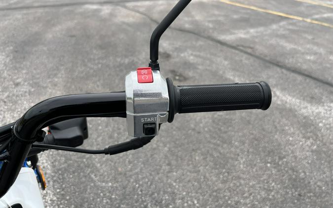 2023 Honda Ruckus