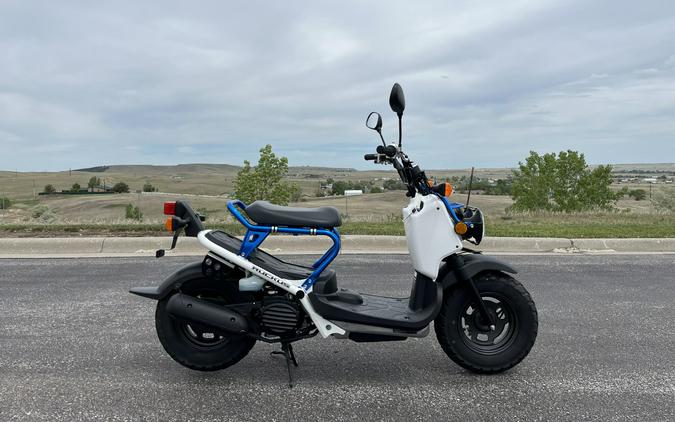 2023 Honda Ruckus