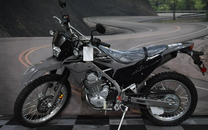 2023 Kawasaki KLX®230 S