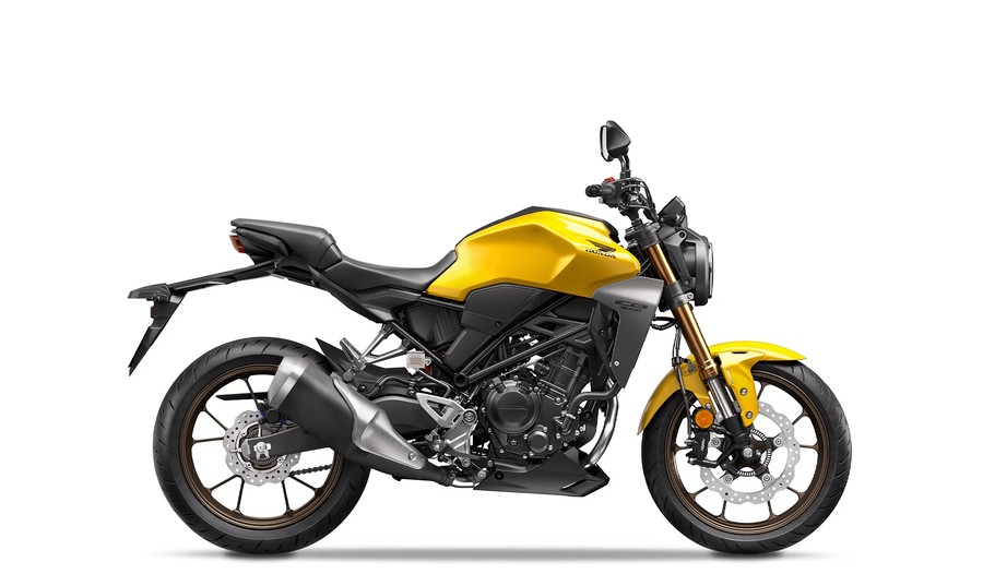 2024 HONDA CB300R ABS