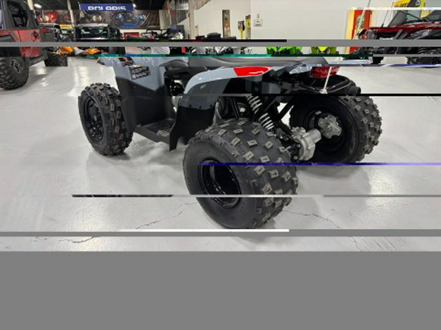 2026 Polaris Phoenix 200