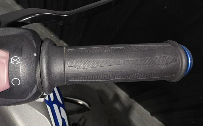 2019 BMW G 310 GS