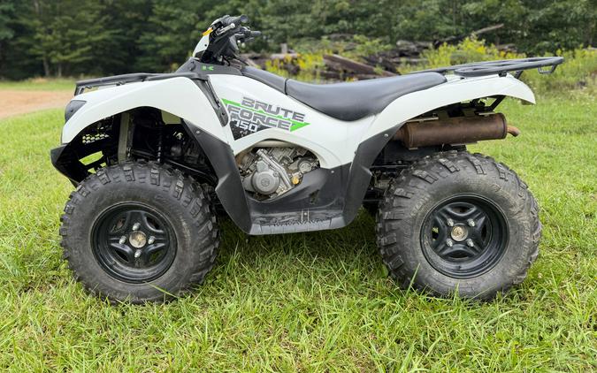 2019 Kawasaki Brute Force 750 4x4i EPS