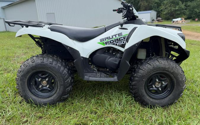 2019 Kawasaki Brute Force 750 4x4i EPS