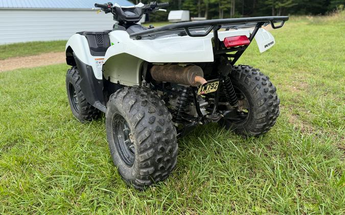 2019 Kawasaki Brute Force 750 4x4i EPS