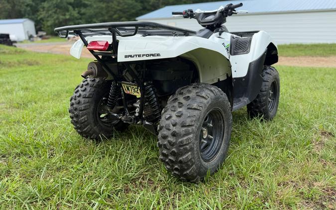 2019 Kawasaki Brute Force 750 4x4i EPS