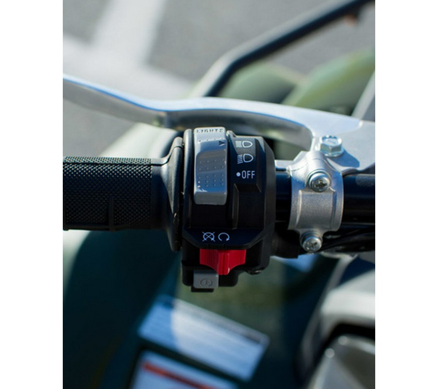 2025 Yamaha Kodiak 700 700 EPS