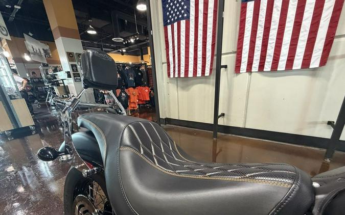 2020 Harley-Davidson Softail® Slim®